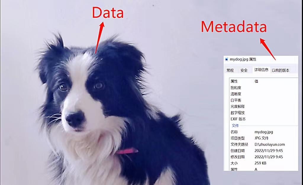 什么是元数据？元数据可以为您的业务做什么？
